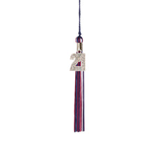 Kindergarten Graduation Tassel - 2021 - Bling Charm - 3 Color