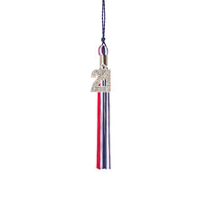 Kindergarten Graduation Tassel - 2021 - Bling Charm - 3 Color