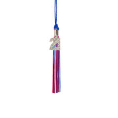 Kindergarten Graduation Tassel - 2021 - Bling Charm - 3 Color