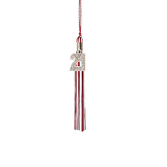 Kindergarten Graduation Tassel - 2021 - Bling Charm - 3 Color