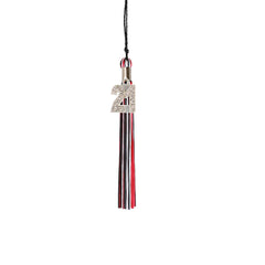 Kindergarten Graduation Tassel - 2021 - Bling Charm - 3 Color